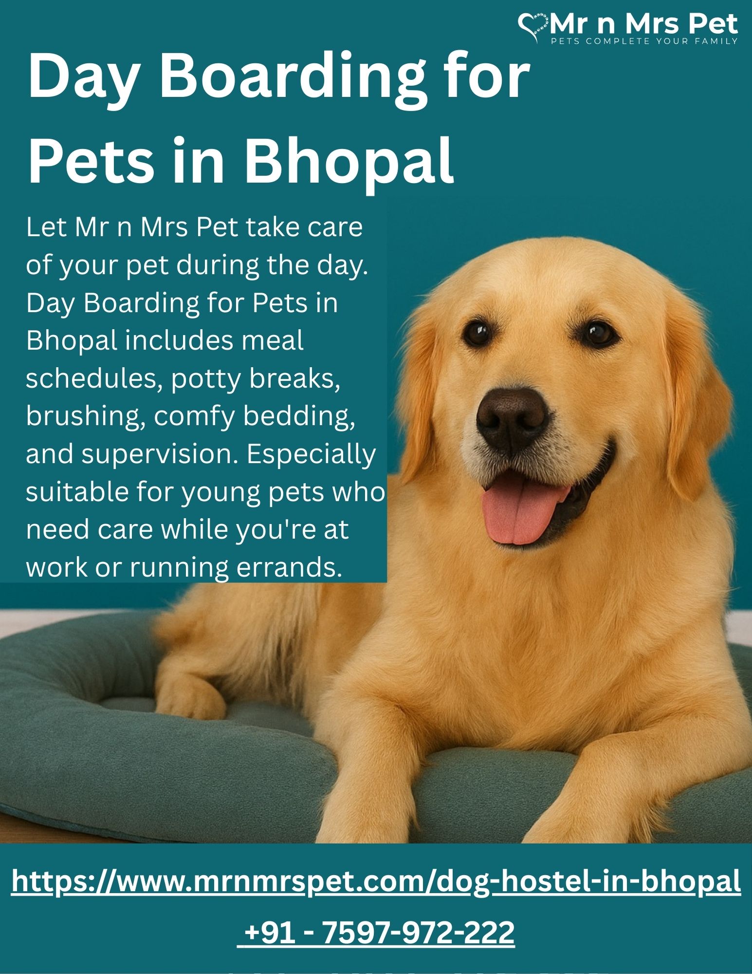 Day Boarding for Pets in Bhopal